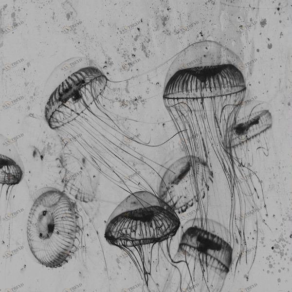 Арт-панель на холсте Alex Turco Underwater Silver Poison SILVERPOISON