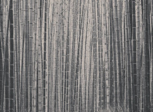 Обои с рисунком