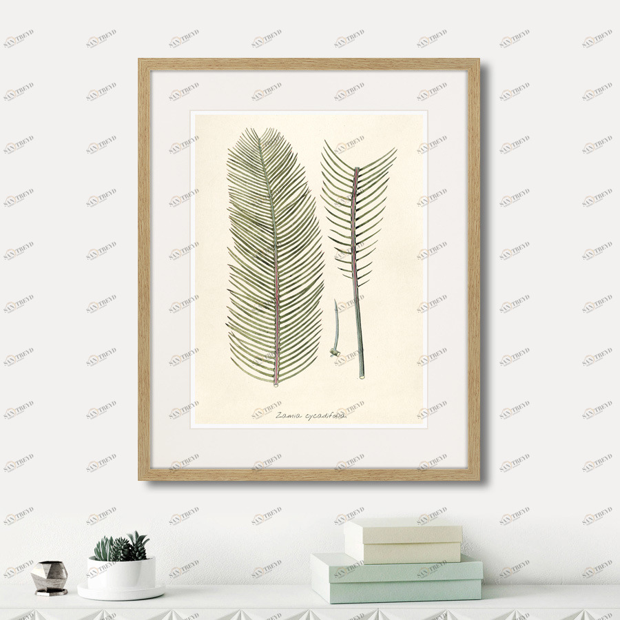 Картина в раме 52х42 см Fragmenta botanica №9, 1809г. КАРТИНЫ В КВАРТИРУ  264317 Бежевый;серый;разноцветный 