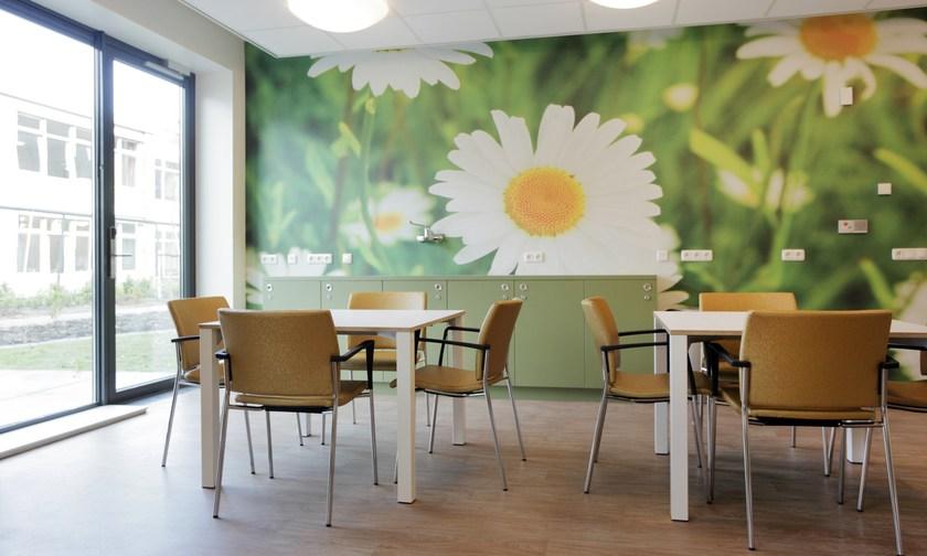 Casala Стул из ткани с подлокотниками Feniks 2466-10 - Вид №4