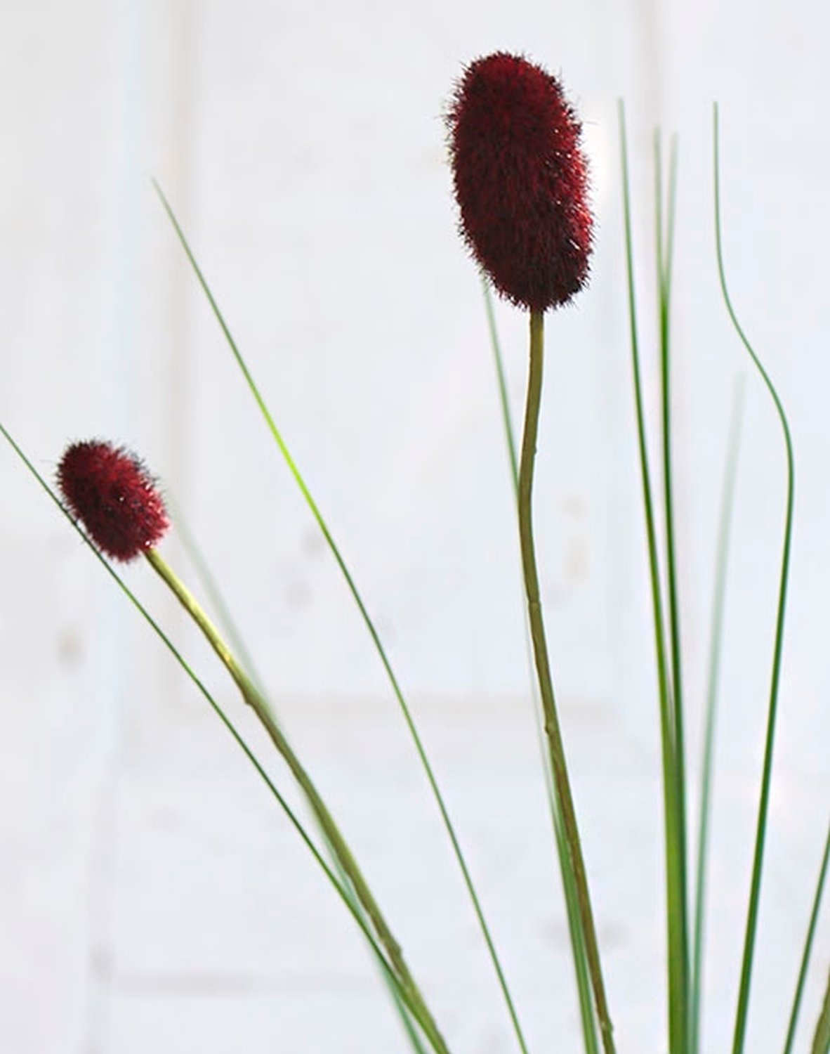 3523 442 a1 Трава искусственная заячий хвост, 3-х кратная, 75 см, бордовый H-andreas 