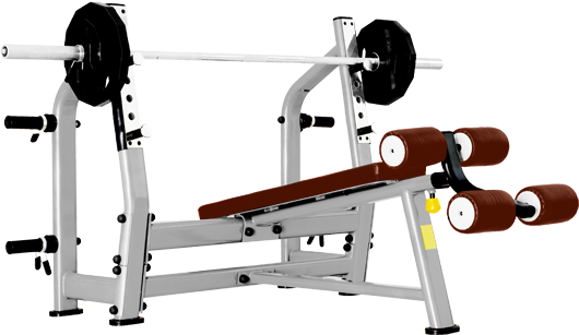 J-024 Bronze gym j-024 скамья для жима с отрицательным наклоном Bronze Gym 