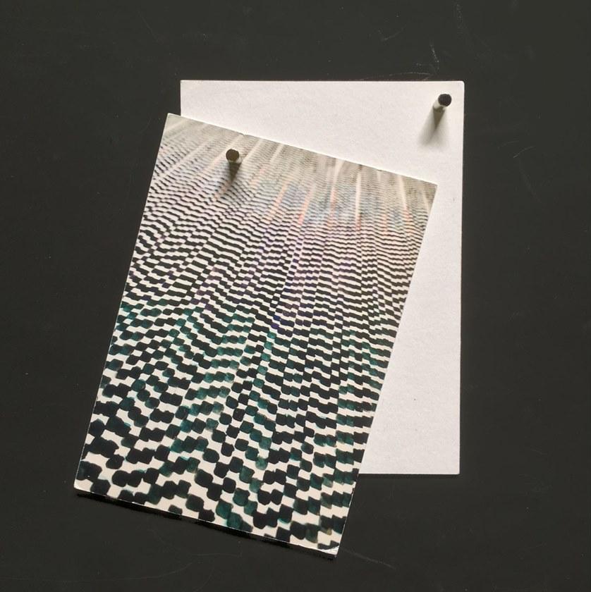 Groovy Magnets Стикер стены винила Chalkboard sun-id-1502780 - Вид №6