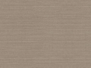 COLORISTICA 2584-14 Портьерная ткань  Лён  City