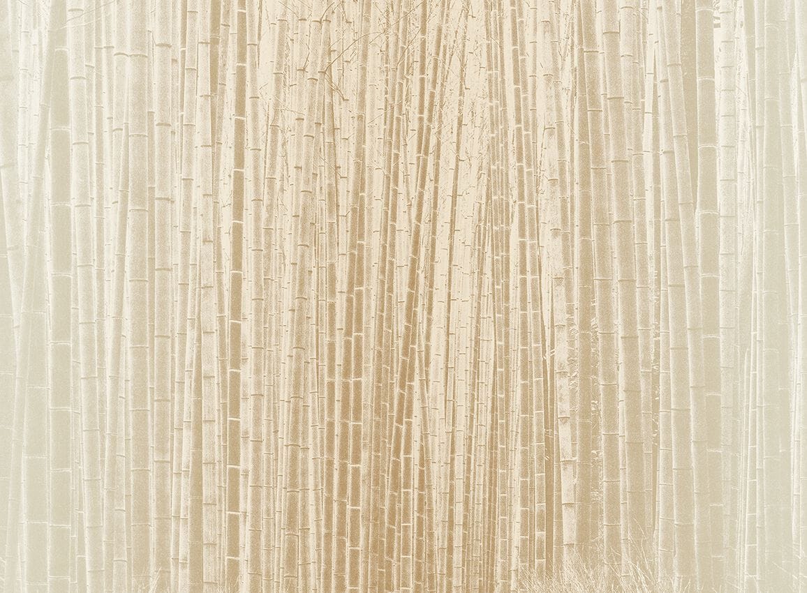 Обои с рисунком Jannelli&Volpi СП 201 MURALS DECOR ARCH-00075370 - Вид №6