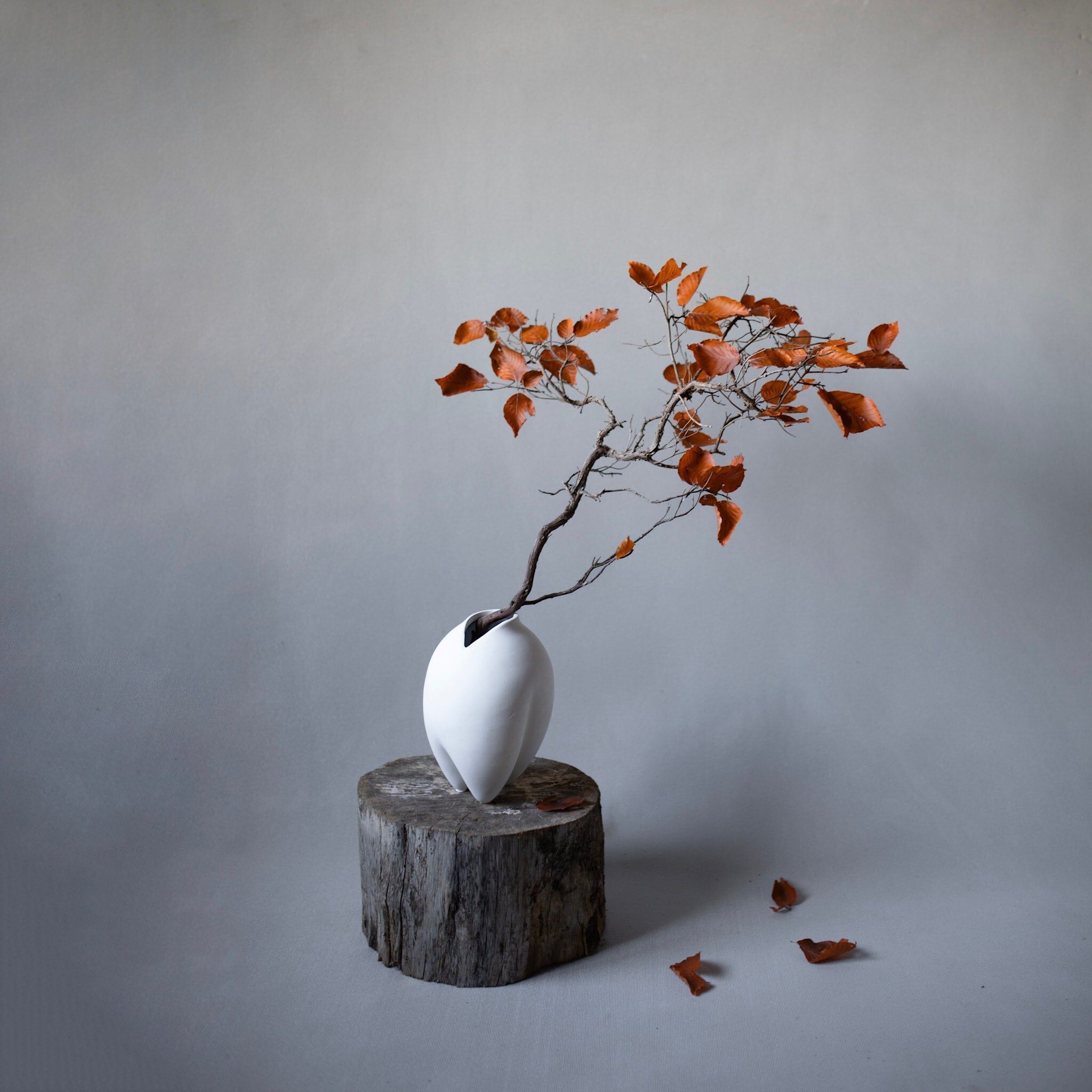 Керамическая ваза 101 Copenhagen Сумо ARCH-00110634 - Вид №5