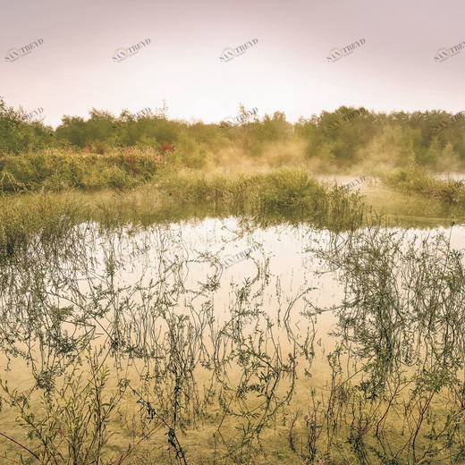 SH065-VD4-Morning-View-II Фотообои Komar Stefan Hefele 2.5х4 м SH065VD4MORNINGVIEWII