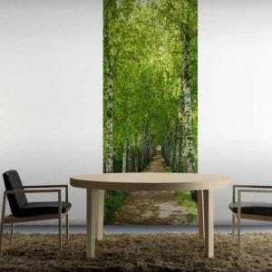 2-1717-Birkenallee Фотообои Komar Scenics Edition 2 2.20х0.92 м