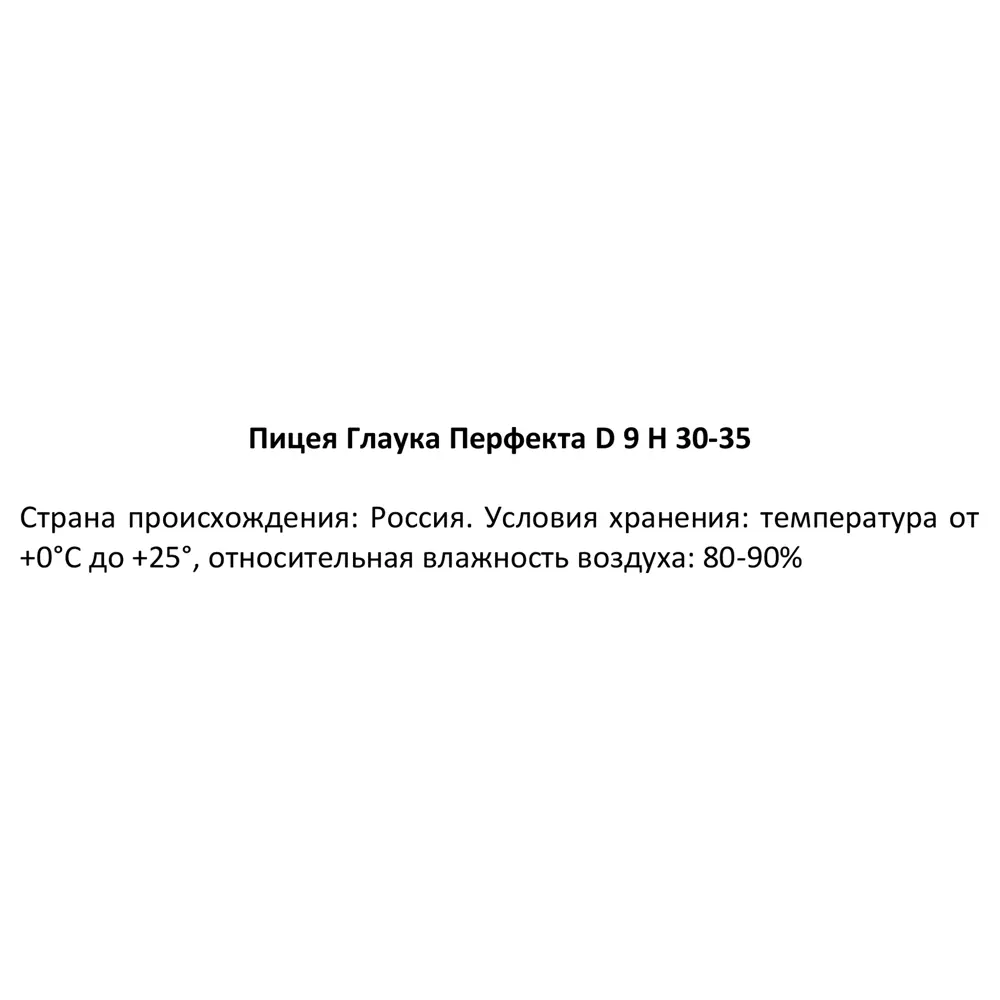 Ель Глаука Перфекта ø9 h30-35 см 89341208 STLM-2063464 Santreyd  - Вид №2