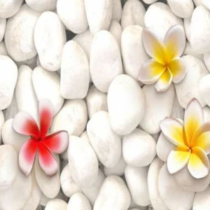 WP02102 Фотообои Verol Фотообои decoline 1х1 м