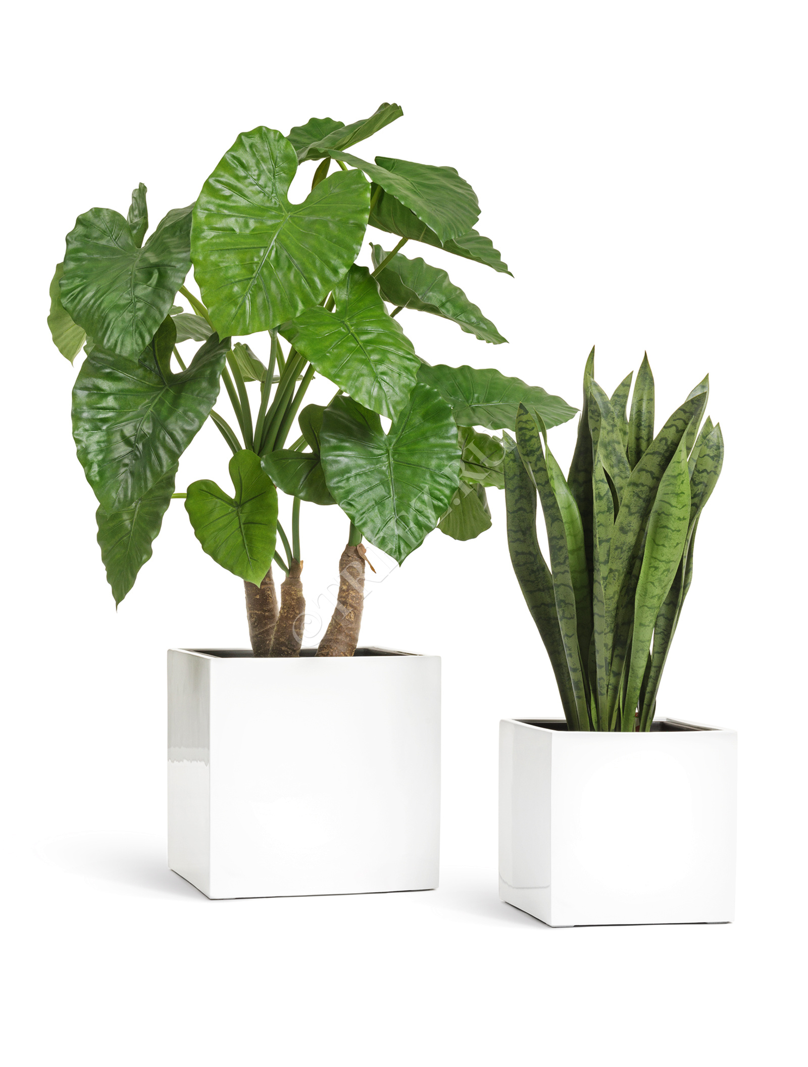 41.3320-05-033-WH-20 Кашпо  Effectory - серия Gloss - Куб - Белый глянцевый лак Цветочная коллекция  - Вид №4