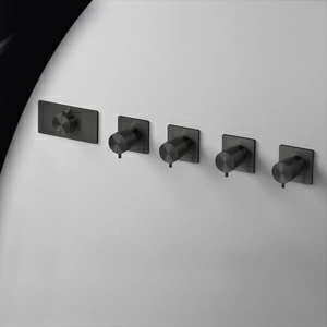 Термостат для душа AICO TER57C карбон