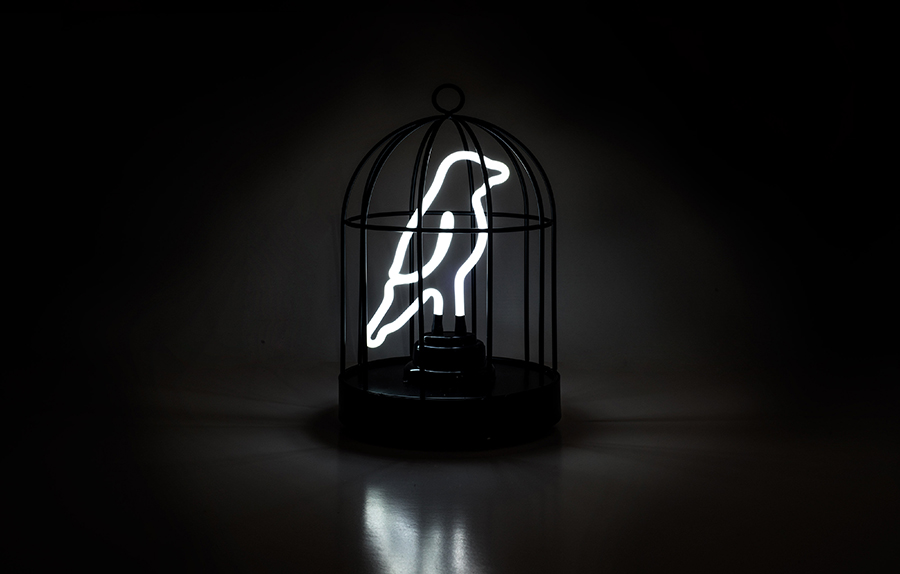 Лампа настольная неоновая с подвесом 25,5х16 см черная Bird in a Cage SK NEONBIRD1 SUCK UK  00-3880793 Черный  - Вид №2