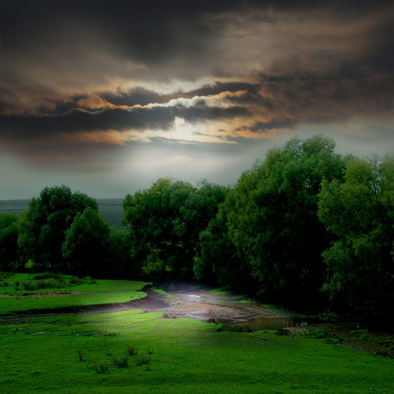 1887/CX38 Картина 0988 Adriani e Rossi 