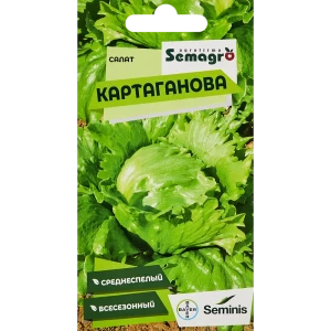 89347267 Семена салат Картаганова STLM-0953926