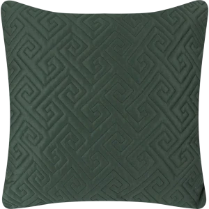 Подушка Cactus 1 50x50 см цвет зелёный 84631652 STLM-2211529