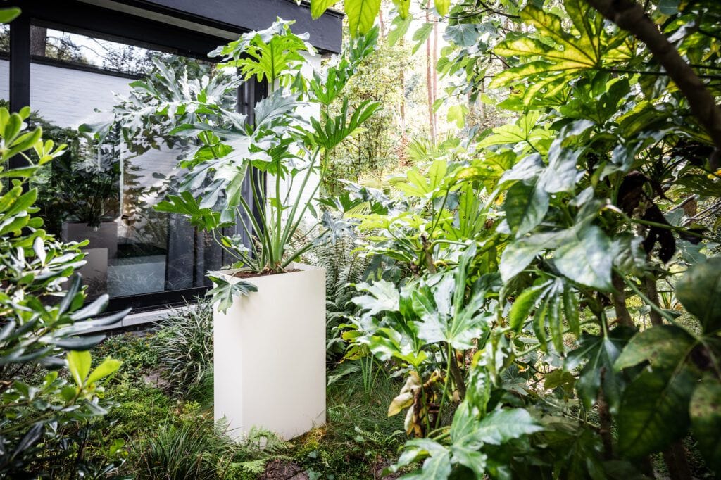 Прямоугольная алюминиевая плантатор с порошковым покрытием SIXINCH PLANTER ARCH-00109030 - Вид №13