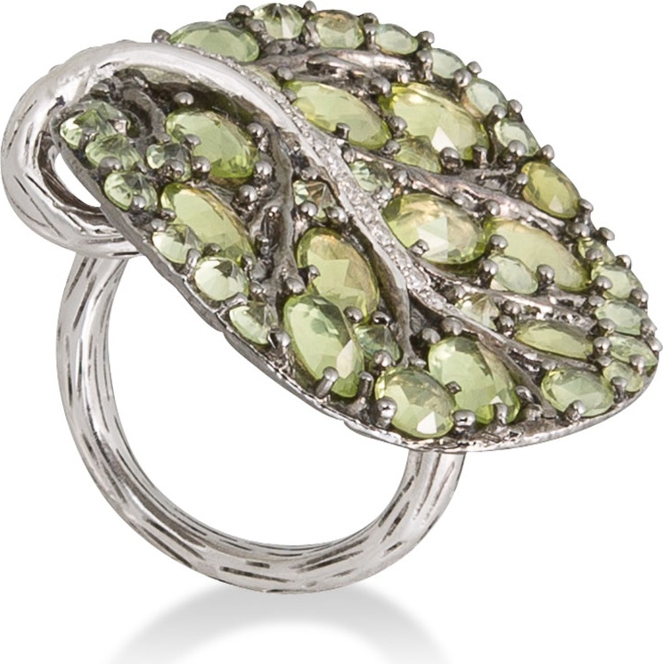 10592495 Кольцо для cалфетки Серебряное Michael Aram 