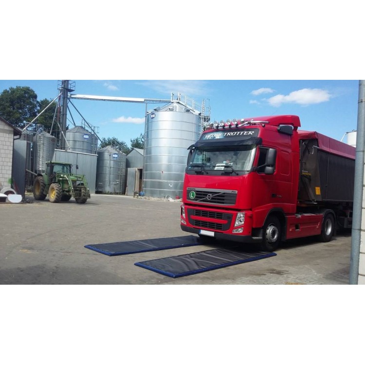 Техно-ЭКО Дезбарьер для дезинфекции автотранспорта Техно-ЭКО 100*200*6 Santreyd 