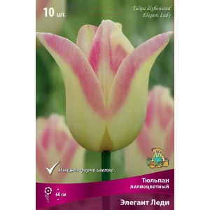 Луковицы тюльпана Элегант Леди - лилиецветный сорт с кремово-розовыми цветами 82662955
