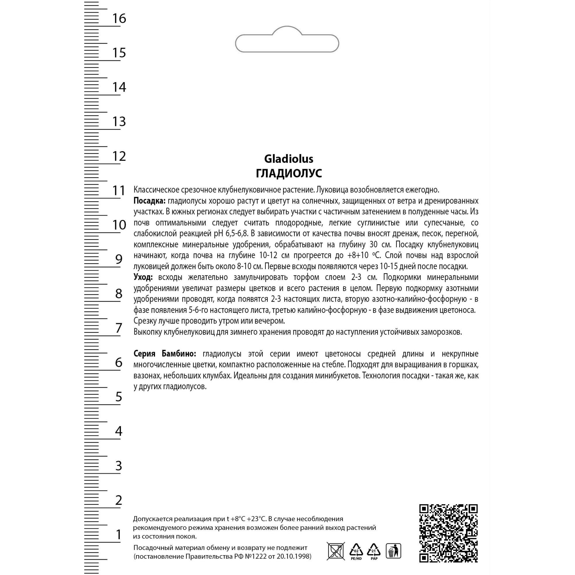 82530185 Гладиолусы бамбино Джуди Santreyd  - Вид №1