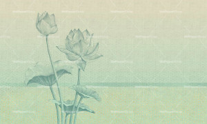 Восточные обои ПВХ бесплатно, экологически чистые, моющиеся