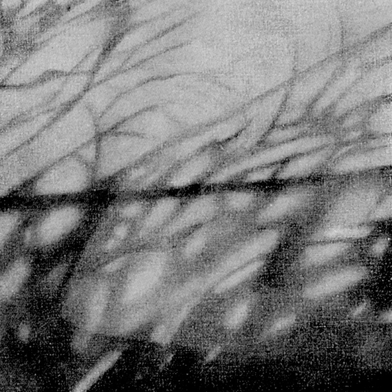 0915/CX38 Картина 0915 Adriani e Rossi 