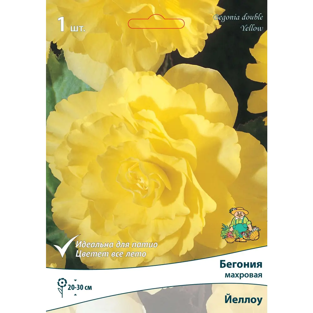 Бегония махровая Йеллоу луковица 5/6 83593714 STLM-2047694 Santreyd 