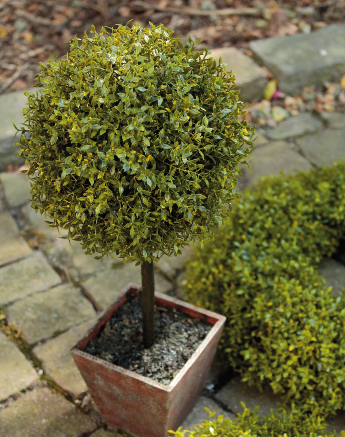 4967 883 a3 Искусственный коробчатый шар, горшок, 55 см, зеленый H-andreas  - Вид №3