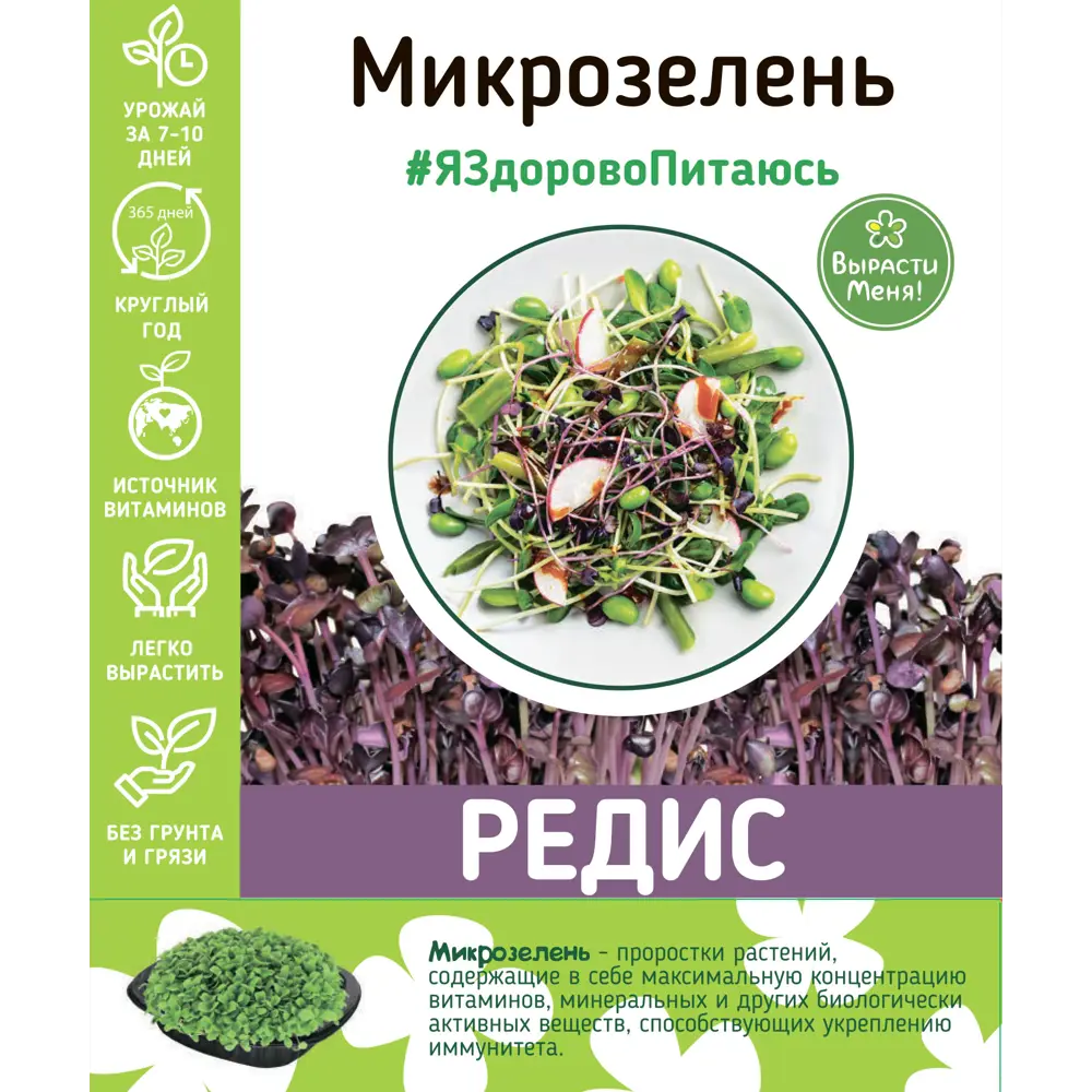 AGRONI — Набор для выращивания микрозелени редиса с витаминным комплексом 83562750 STLM-0041861