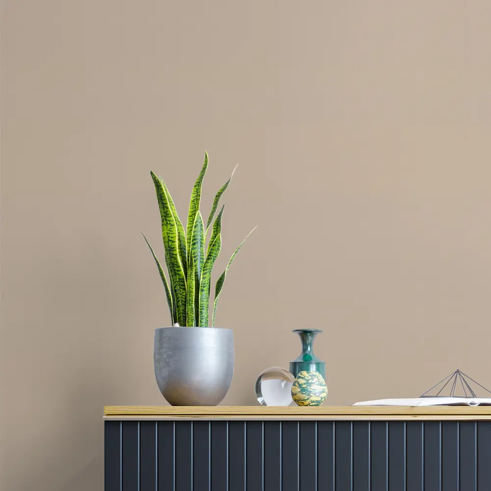 Флизелиновые обои KREAFORTA Palau в насыщенном коричневом цвете 89413542 STLM-1571856 - Вид №4