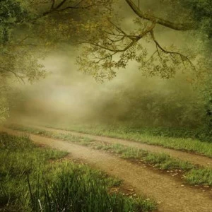 WP02366 Фотообои Verol Фотообои decoline 1х1 м