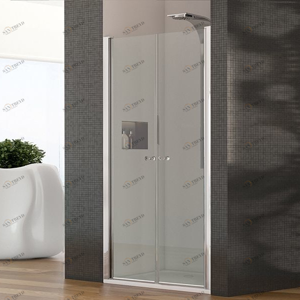 Двери в нишу CAMILLA 100 см CSA Box Doccia 96P