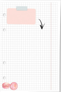 548612 Бумага "Planner Girl клетка" А5 для тетради с 4-я кольцами Fancy Planner