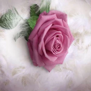 WP01377 Фотообои Verol Фотообои decoline 1х1 м