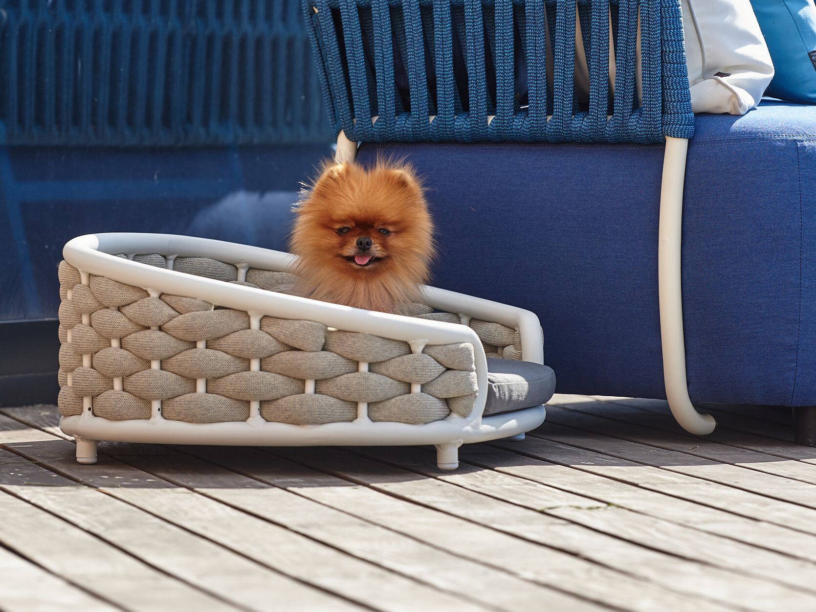 Ткань питомник DRIGANI DOG BED ARCH-00115488