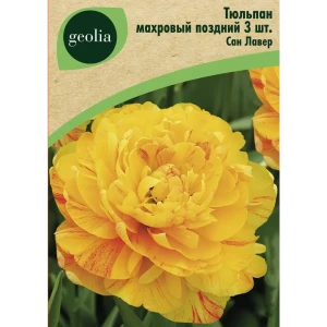 Тюльпан махровый поздний Сан Лавер 3 шт.