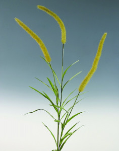 6814 608 a3 Искусственная трава для китайского фонтана, 180 см, коричнево-зеленая H-andreas