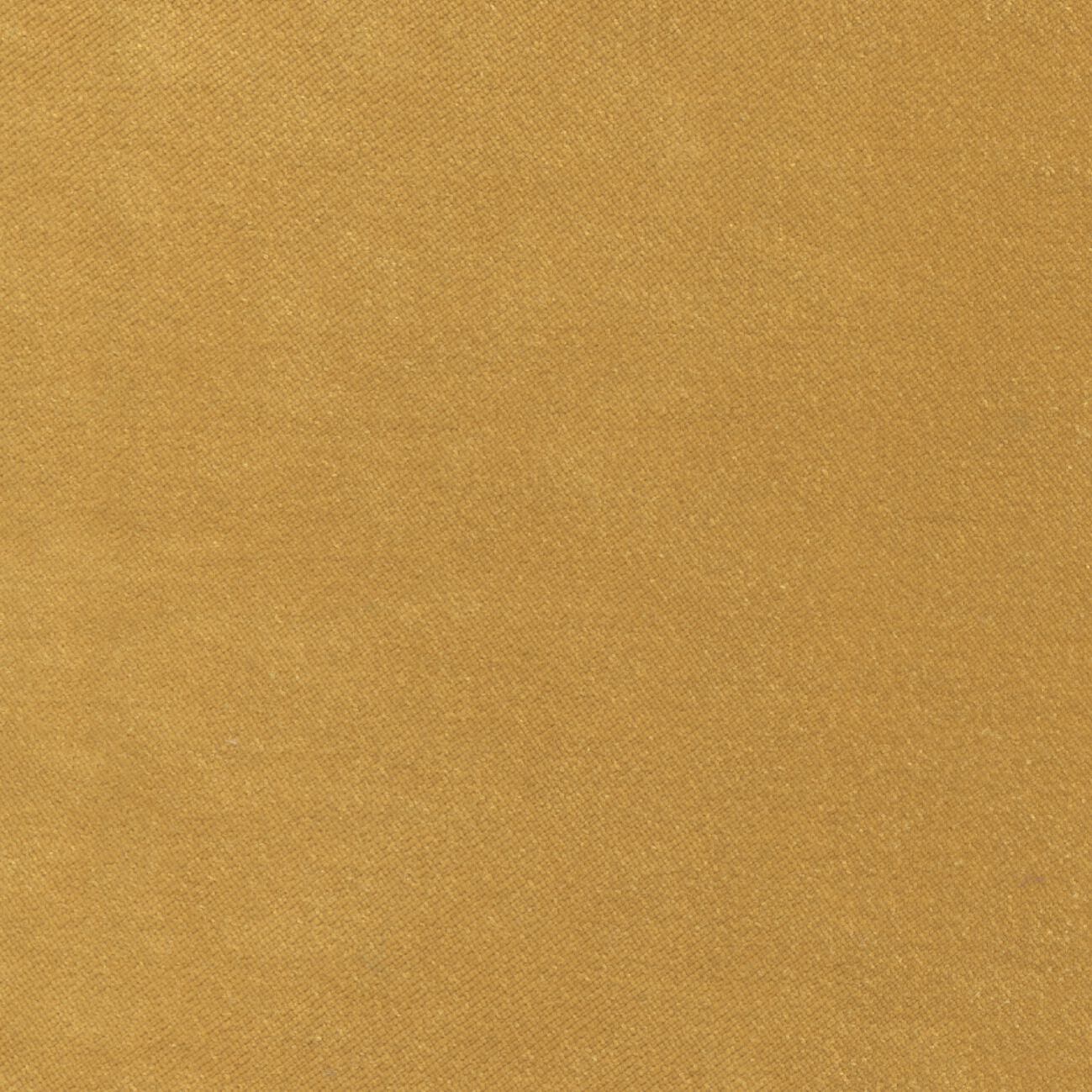 Бархатная однотонная ткань Élitis HÔTEL PARTICULIER 2 ARCH-00101870 - Вид №2