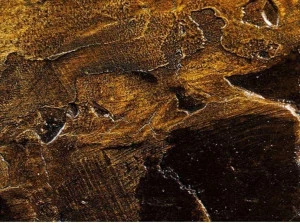 Oltremateria Экологическое покрытие