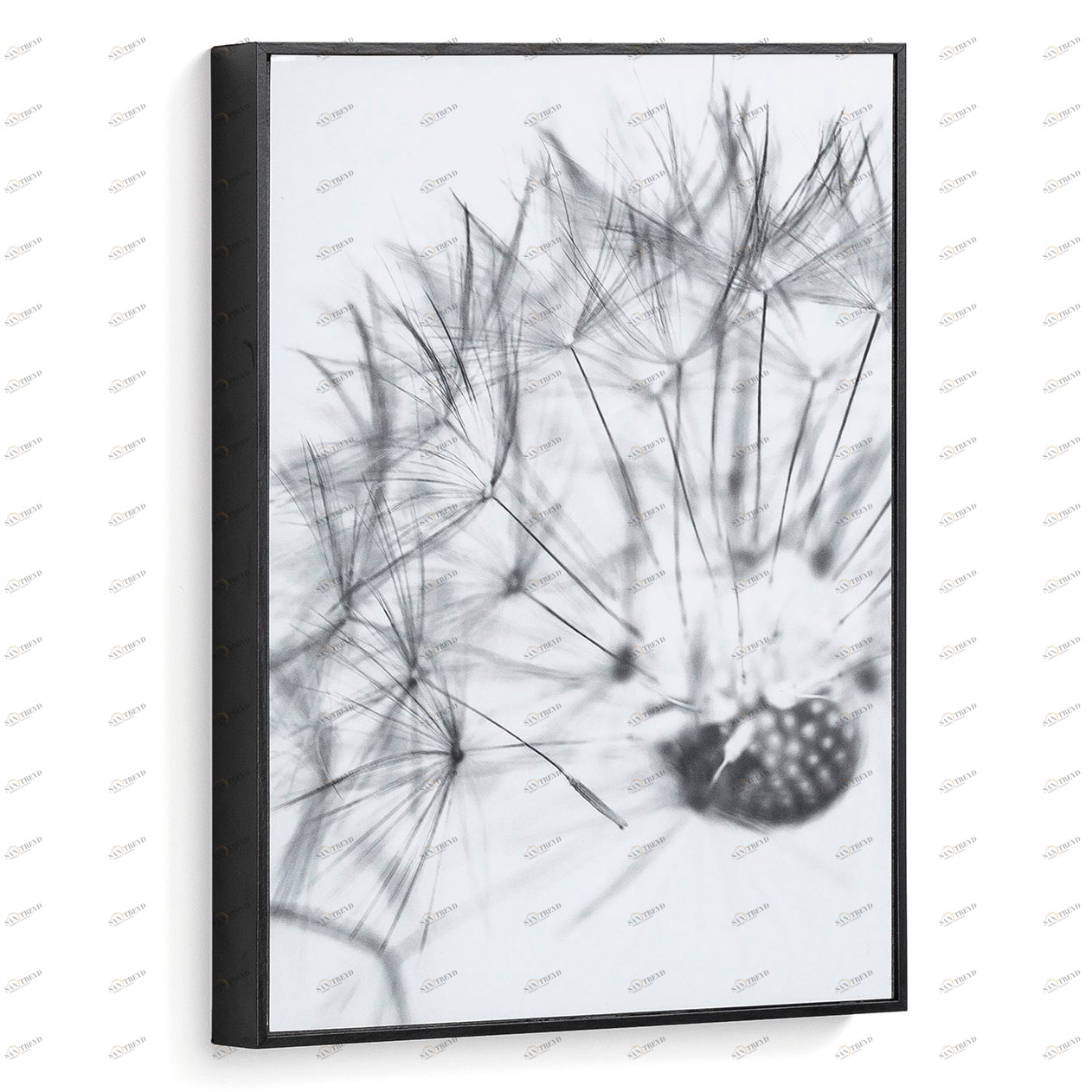 Картина на холсте 40х30 см черно-белая "Каланта. Одуванчик" от La Forma LA FORMA CALANTHA 343069 Белый;серый;черный 