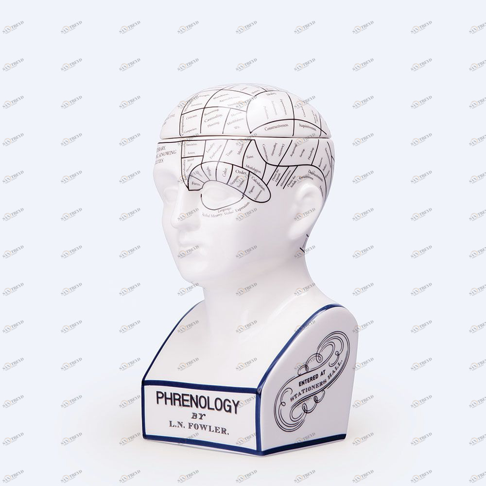 Ёмкость для хранения Mind Keeper Doiy DYMINDKEE