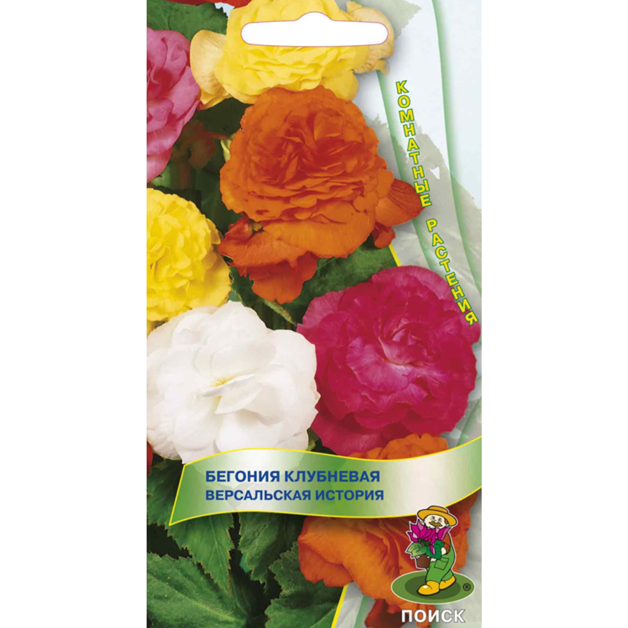 82984193 Семена Бегония клубневая «Версальская история» Santreyd 