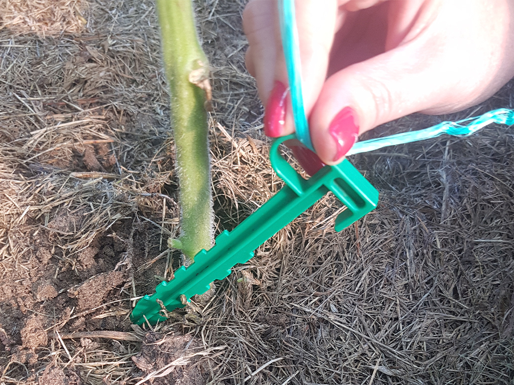 Колышки для огорода, высота 140 мм, 10 шт ГеоПластБорд GPBST-195 - Вид №3