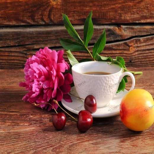 WP00770 Фотообои Verol Фотообои decoline 1х1 м