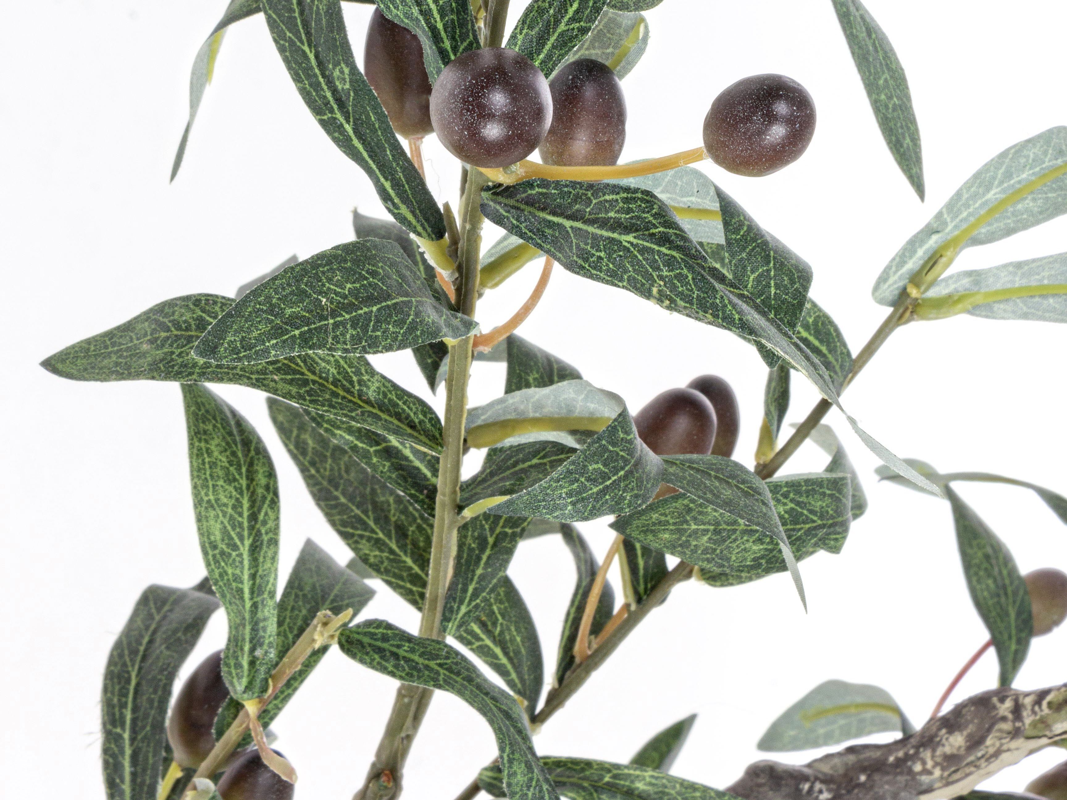 Искусственное растение BIZZOTTO ULIVO H150 ARCH-00073184 - Вид №1