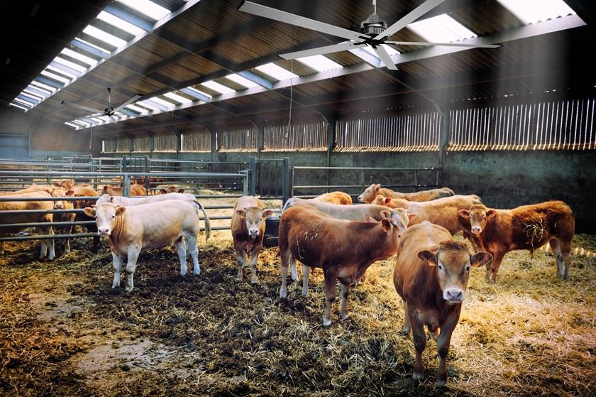 Vortice Nordik hvls super blade  61084  - Вид №5