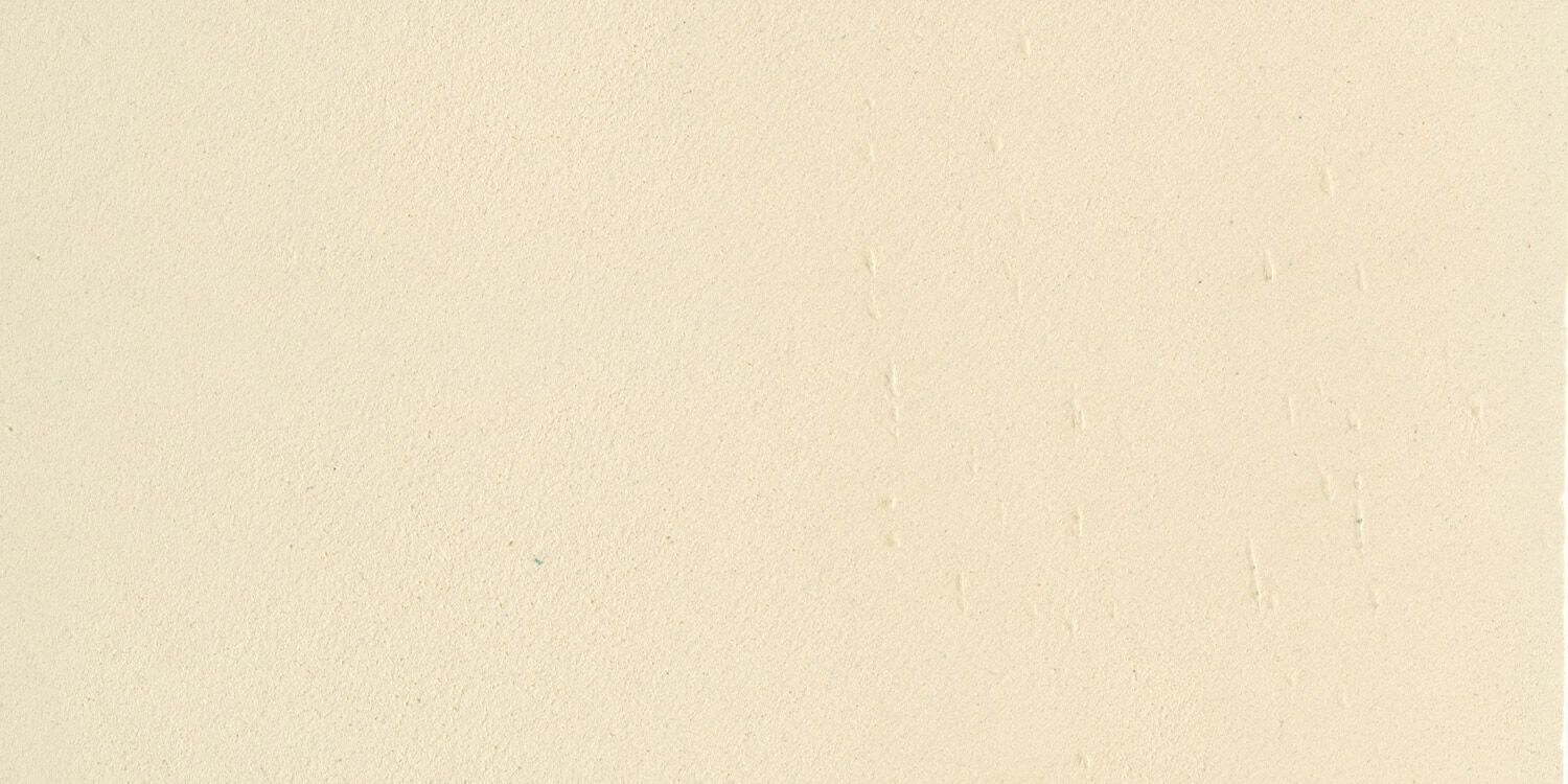 Декоративная известковая краска Ressource Plasters ARCH-00077057 - Вид №50