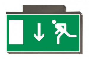 DST-734 Lisu ceiling-mounted Daisalux Светильники аварийные Металлический Серый