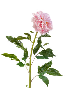 30.03070049/3 Пион большой нежно розовый в-100, д-15 см Цветочная коллекция
